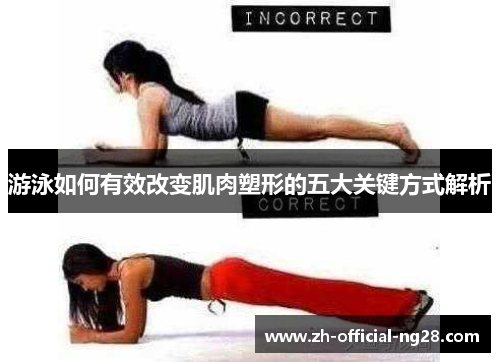游泳如何有效改变肌肉塑形的五大关键方式解析