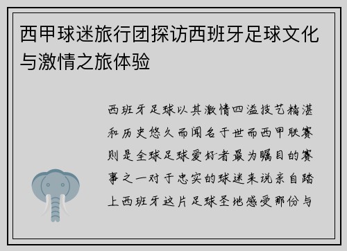 西甲球迷旅行团探访西班牙足球文化与激情之旅体验 西甲球迷旅行团探访西班牙足球文化与激情之旅体验
