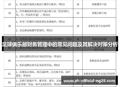 足球俱乐部财务管理中的常见问题及其解决对策分析 足球俱乐部财务管理中的常见问题及其解决对策分析